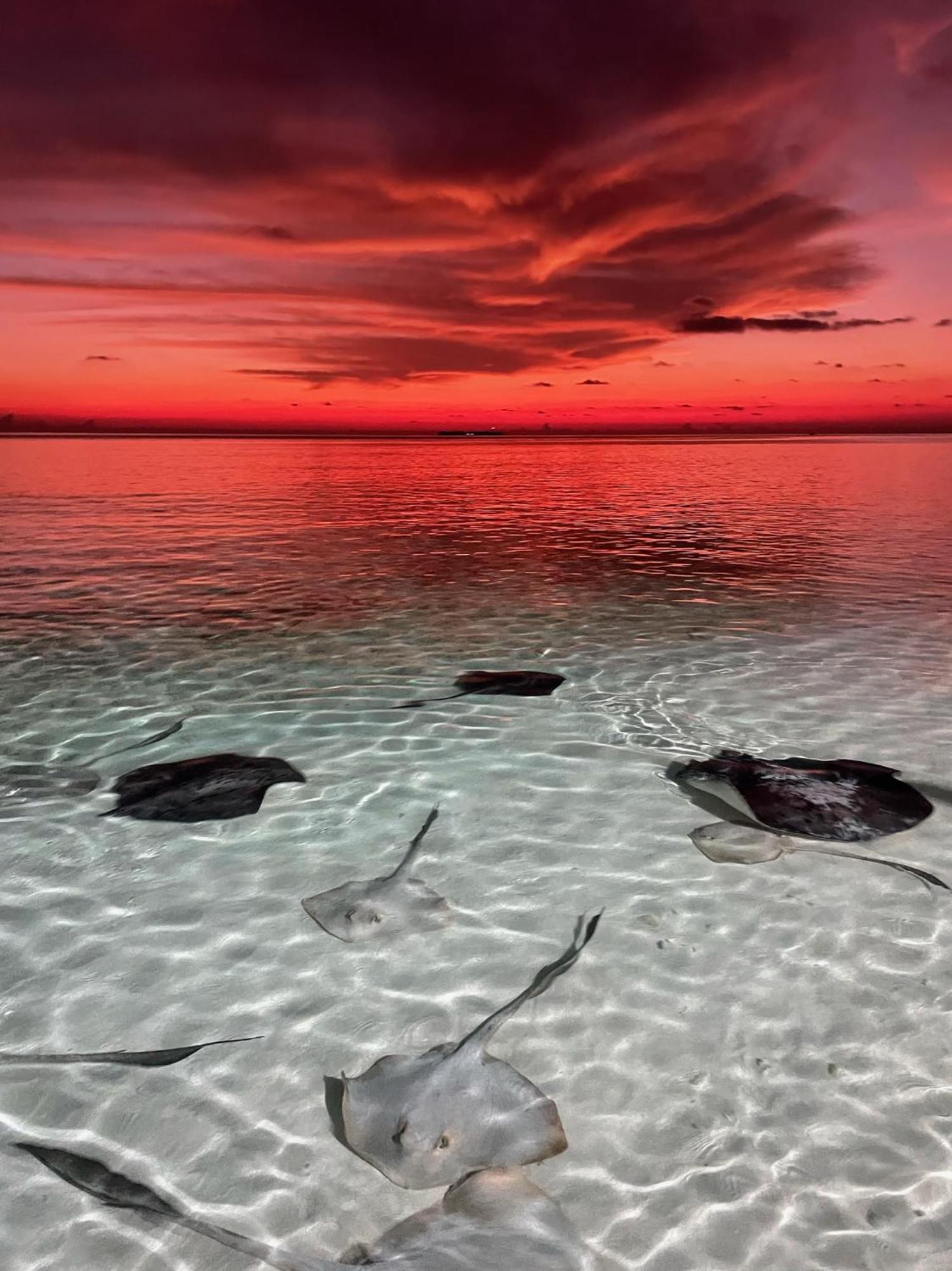 Hotel Hudhuvelimaldives Omadhoo Exteriér fotografie